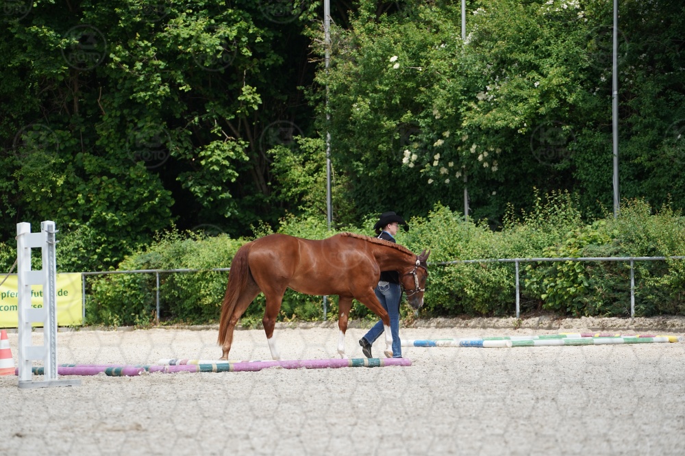 s_A9_06349.jpg